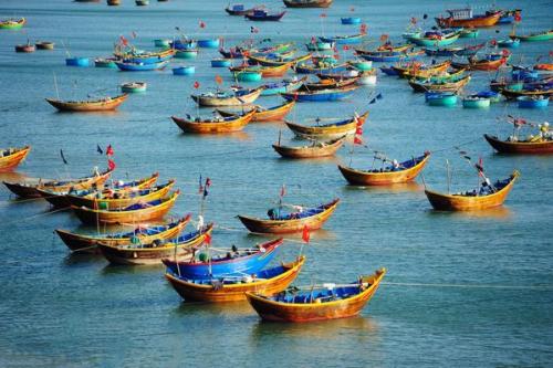 visiteurs voyage vietnam